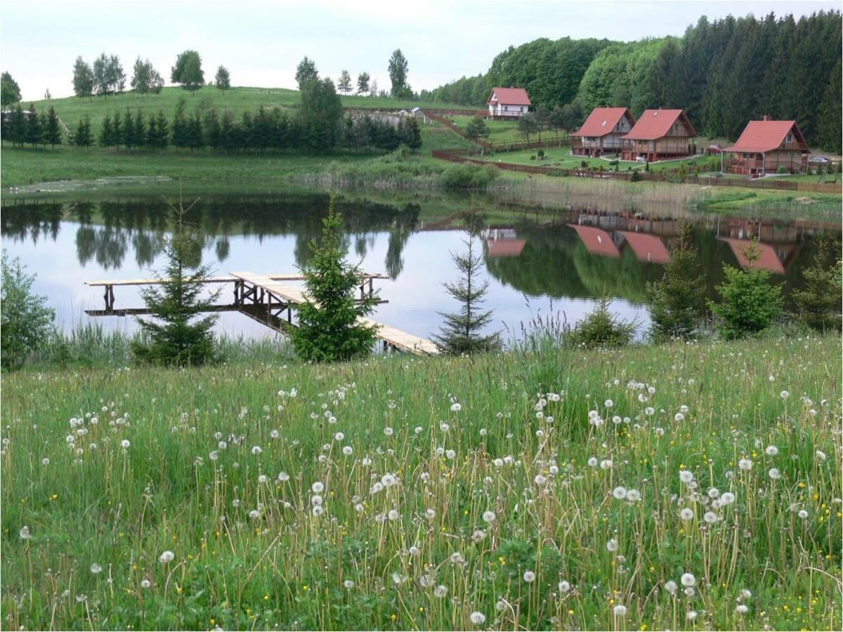Zlota Lesniczowka Villa Rydzowka Kültér fotó