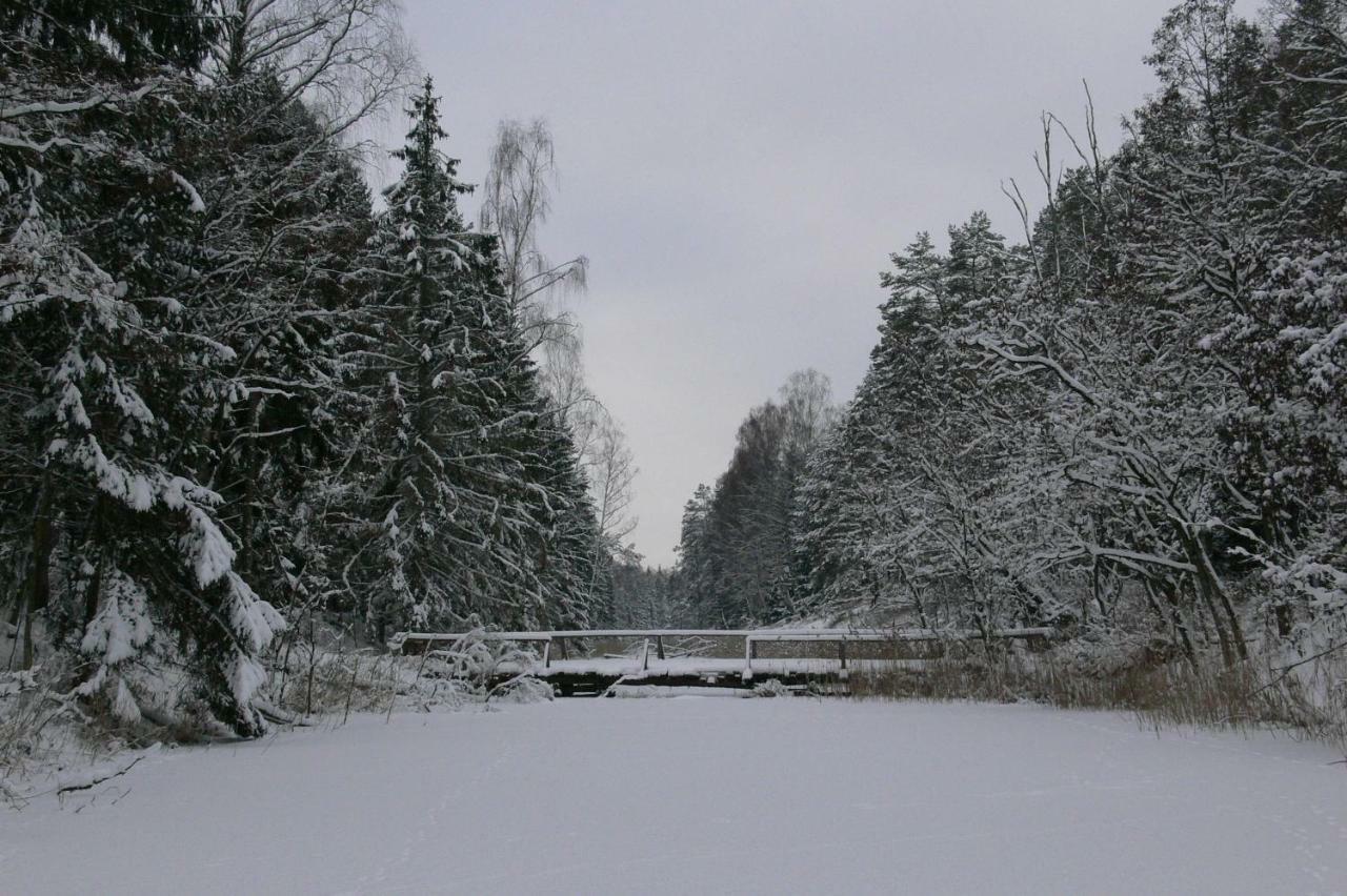 Zlota Lesniczowka Villa Rydzowka Kültér fotó