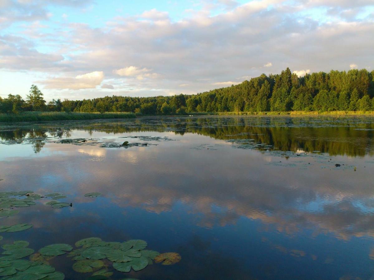 Zlota Lesniczowka Villa Rydzowka Kültér fotó